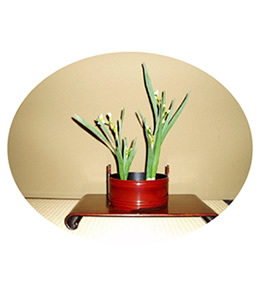 IMG IKEBANA01