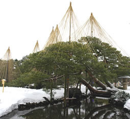 Kenroku-en Park, Kanazawa