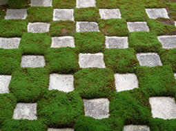 Moss garden in Tofuku-ji by Mirei Shigemori